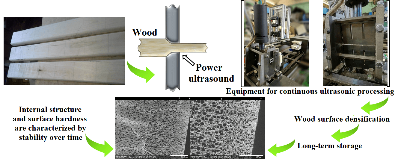 Ultrasonic Modification of Wood Surface: Study of Macro and Micro Properties after Long-Term Storage