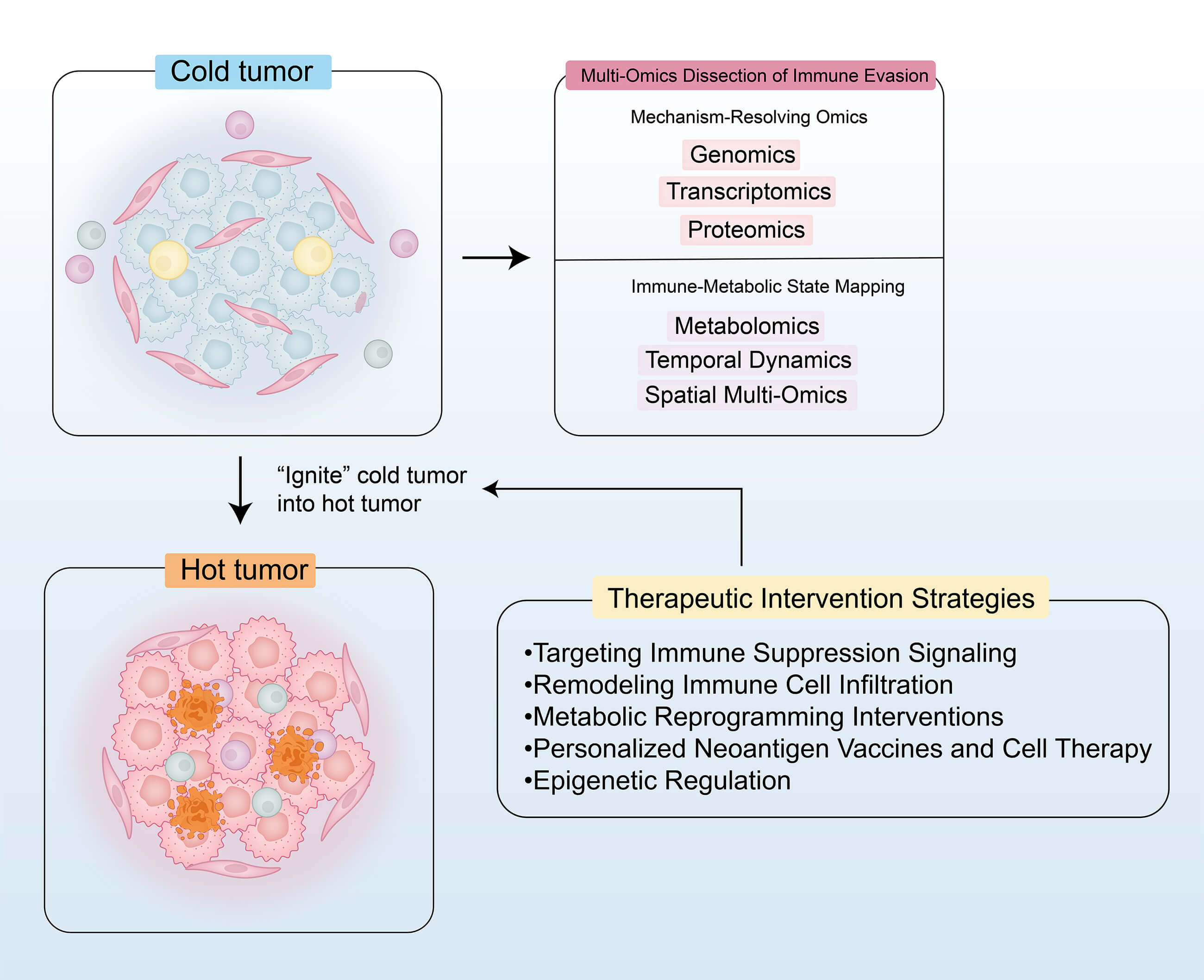 Igniting Cold Tumors: Multi-Omics-Driven Strategies to Overcome Immune Evasion and Restore Immune Surveillance