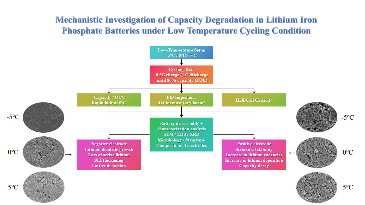 Mechanistic Investigation of Capacity Degradation in Lithium Iron Phosphate Batteries under Low Temperature Cycling Conditions