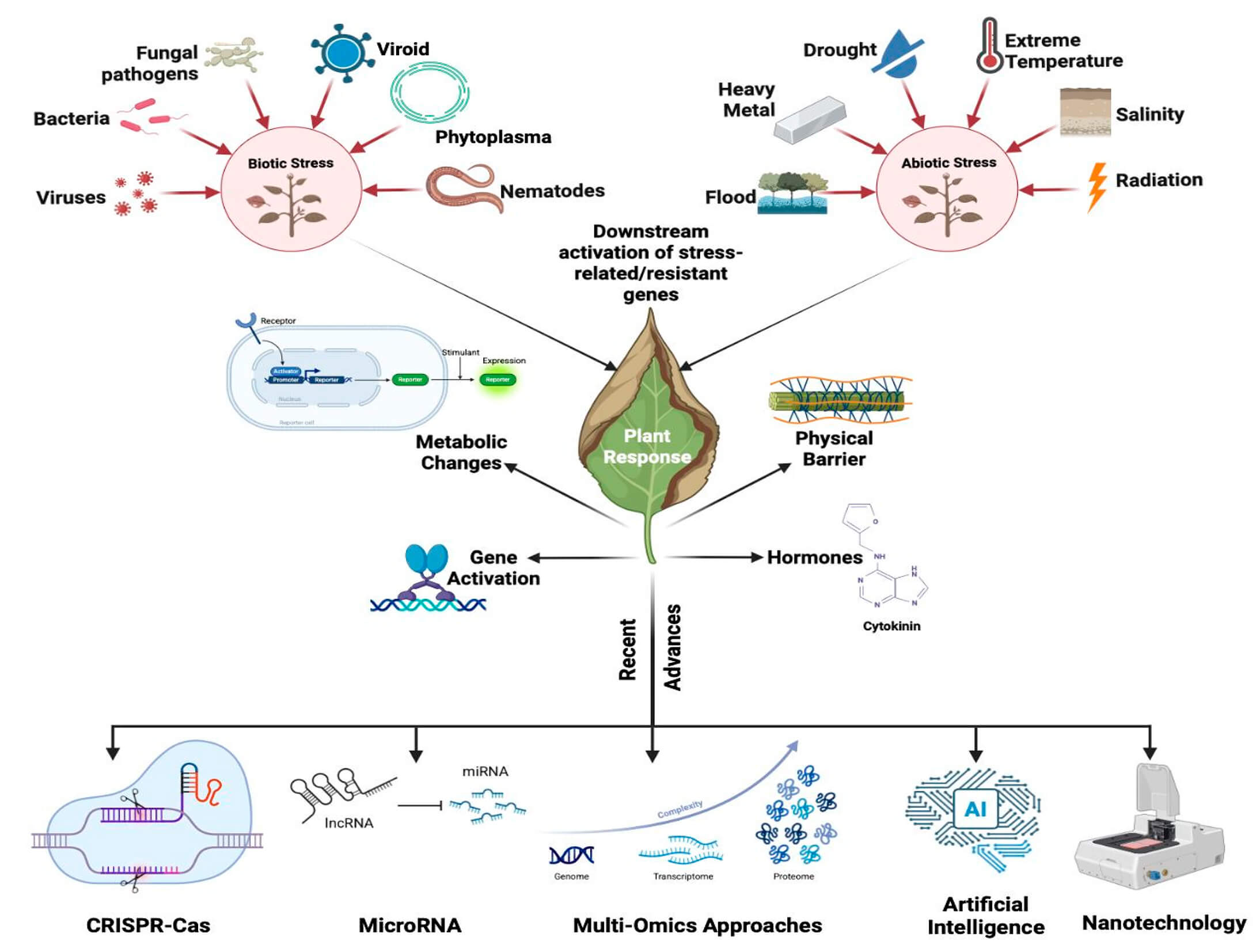 A Mini Review on Plant Immune System Dynamics: Modern Insights into Biotic and Abiotic Stress