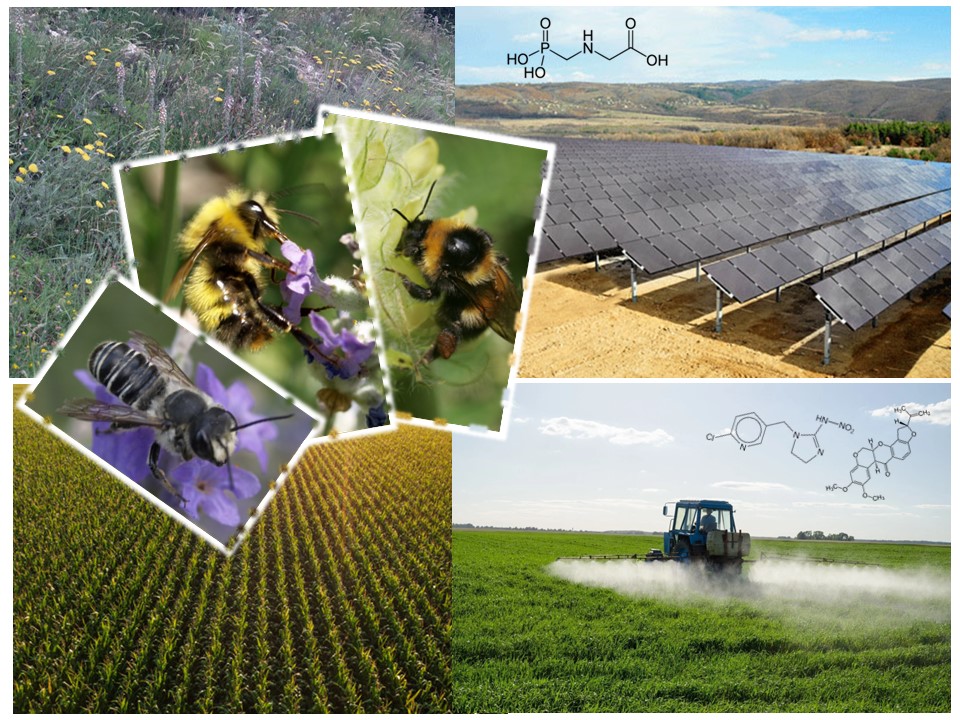 Guardians of Green: Protecting Plants Through the Conservation of Pollinators