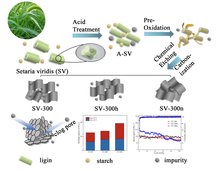 Biomass-Derived Hard Carbon Anodes from Setaria Viridis for Na-Ion Batteries