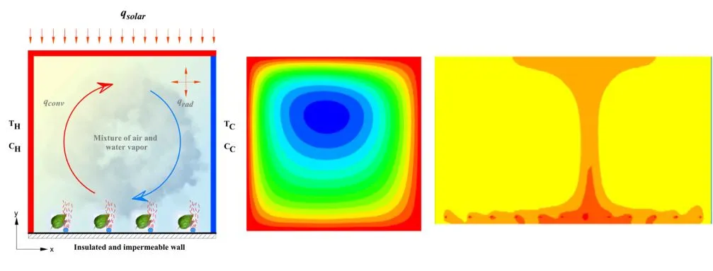 A Numerical Study of the Double Diffusivity with Convective and Radiative Turbulent Flow in a Greenhouse with Humidity Sources