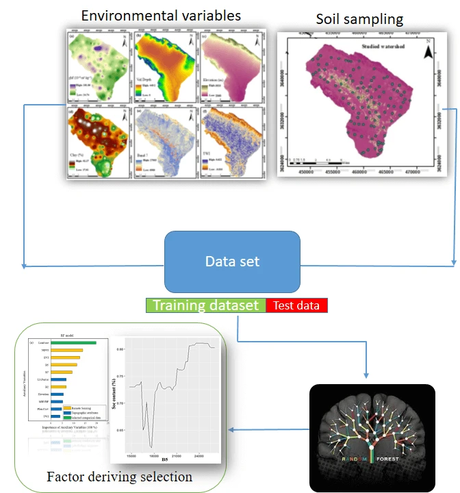 Predicting Soil Carbon Pools in Central Iran Using Random Forest: Drivers and Uncertainty Analysis