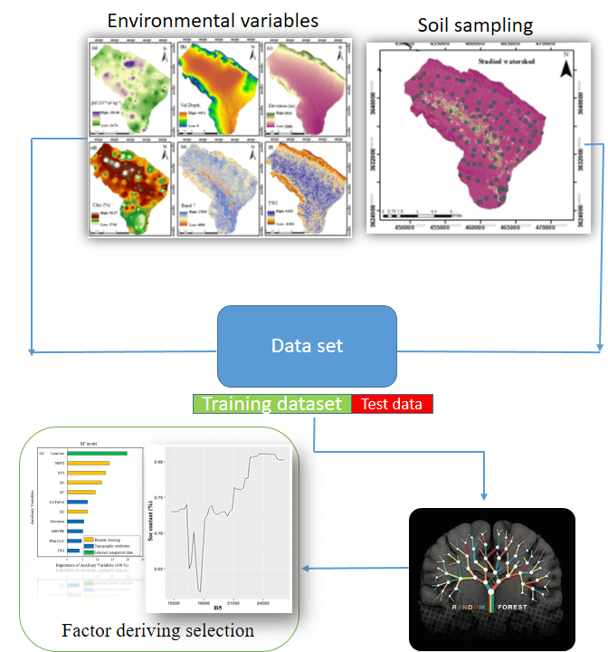 Predicting Soil Carbon Pools in Central Iran Using Random Forest: Drivers and Uncertainty Analysis
