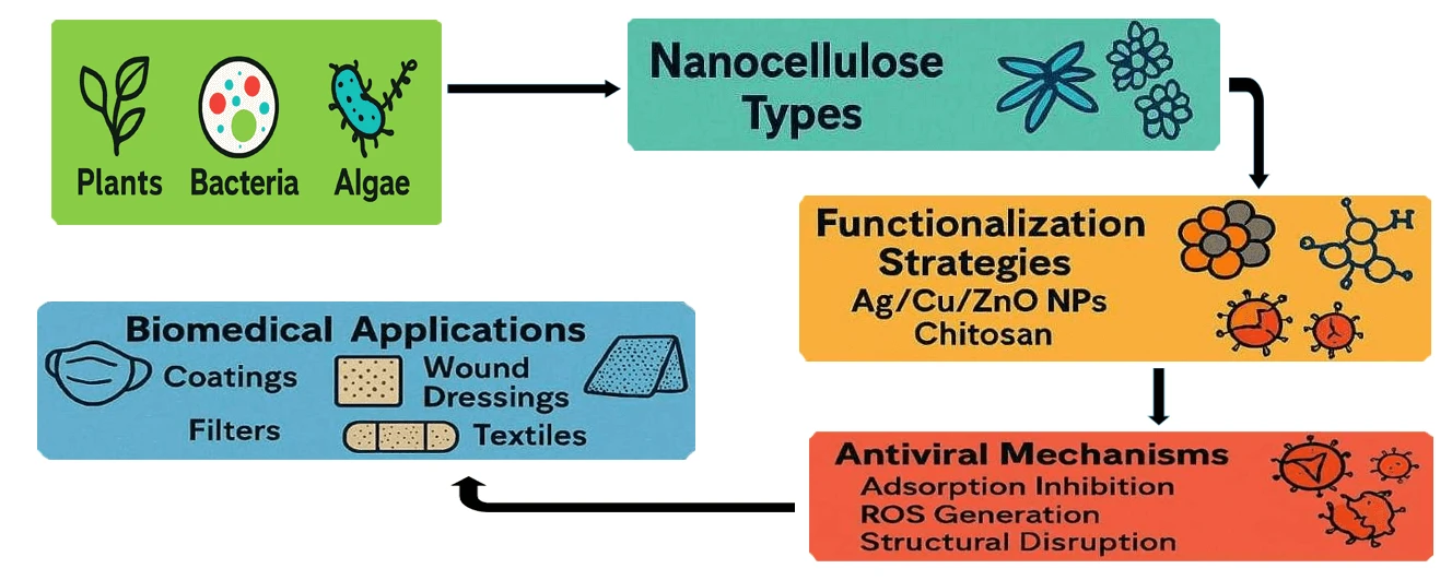 Smart Nano-Cellulosic-Based Materials as Antiviral Agents: A Brief Insight into Scientific Advances and Functionalization Strategies