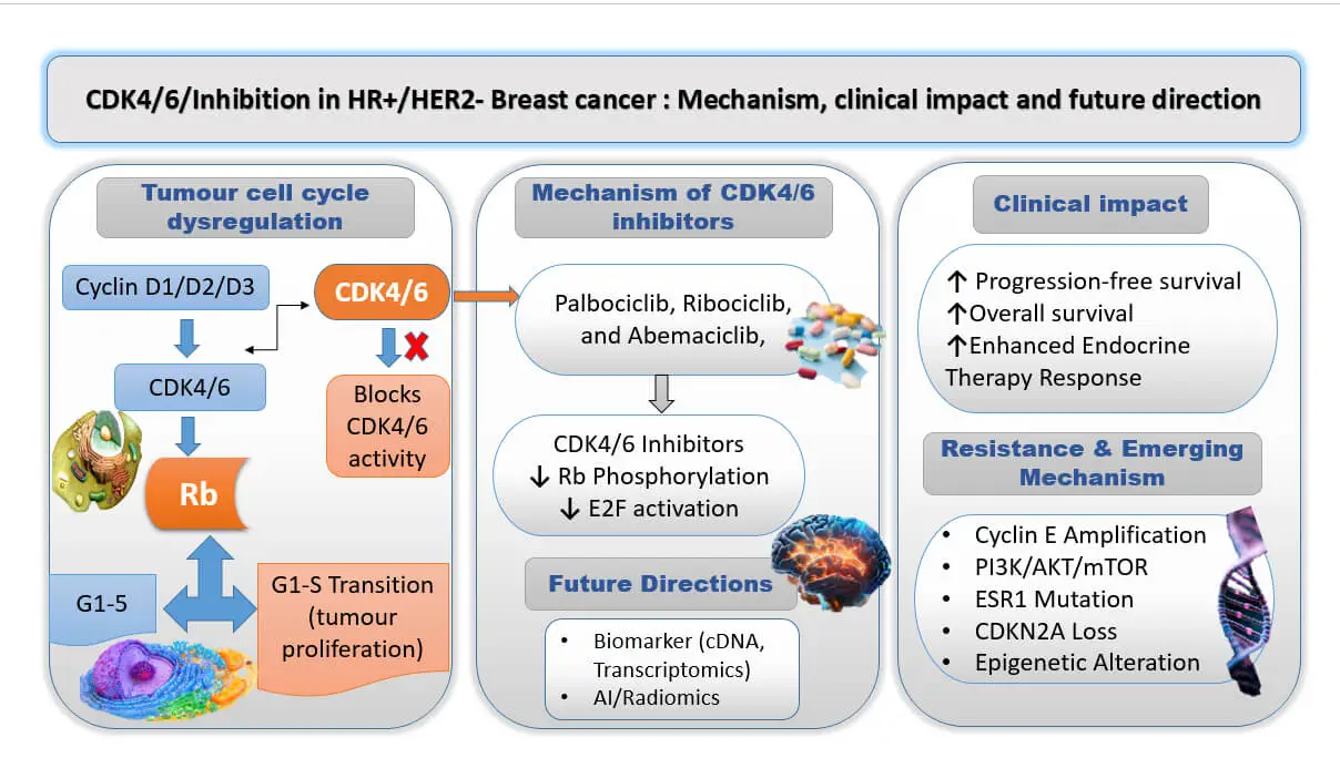 Efficacy and Mechanisms of CDK4/6 Inhibitors in Breast Cancer: Advancing Targeted Therapeutic Strategies