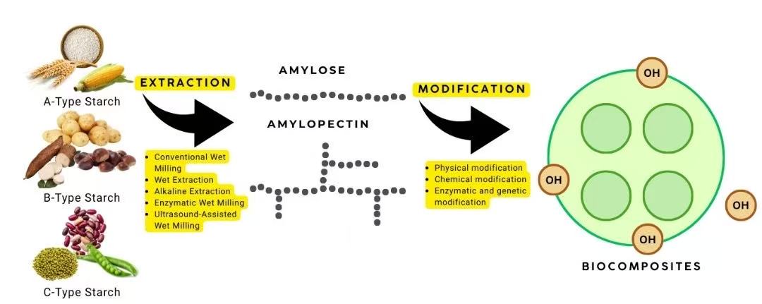 Sustainable Plant-Based Starch as Binder in Biocomposites: Extraction, Modification, and Their Calorific Behaviour