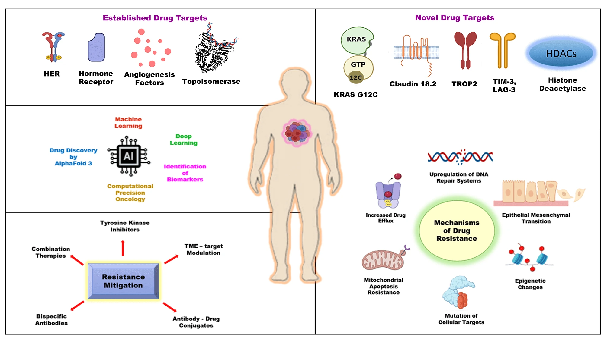 A Holistic Review of Oncological Drug Targets and Trajectories of Resistance in Cancer Therapy