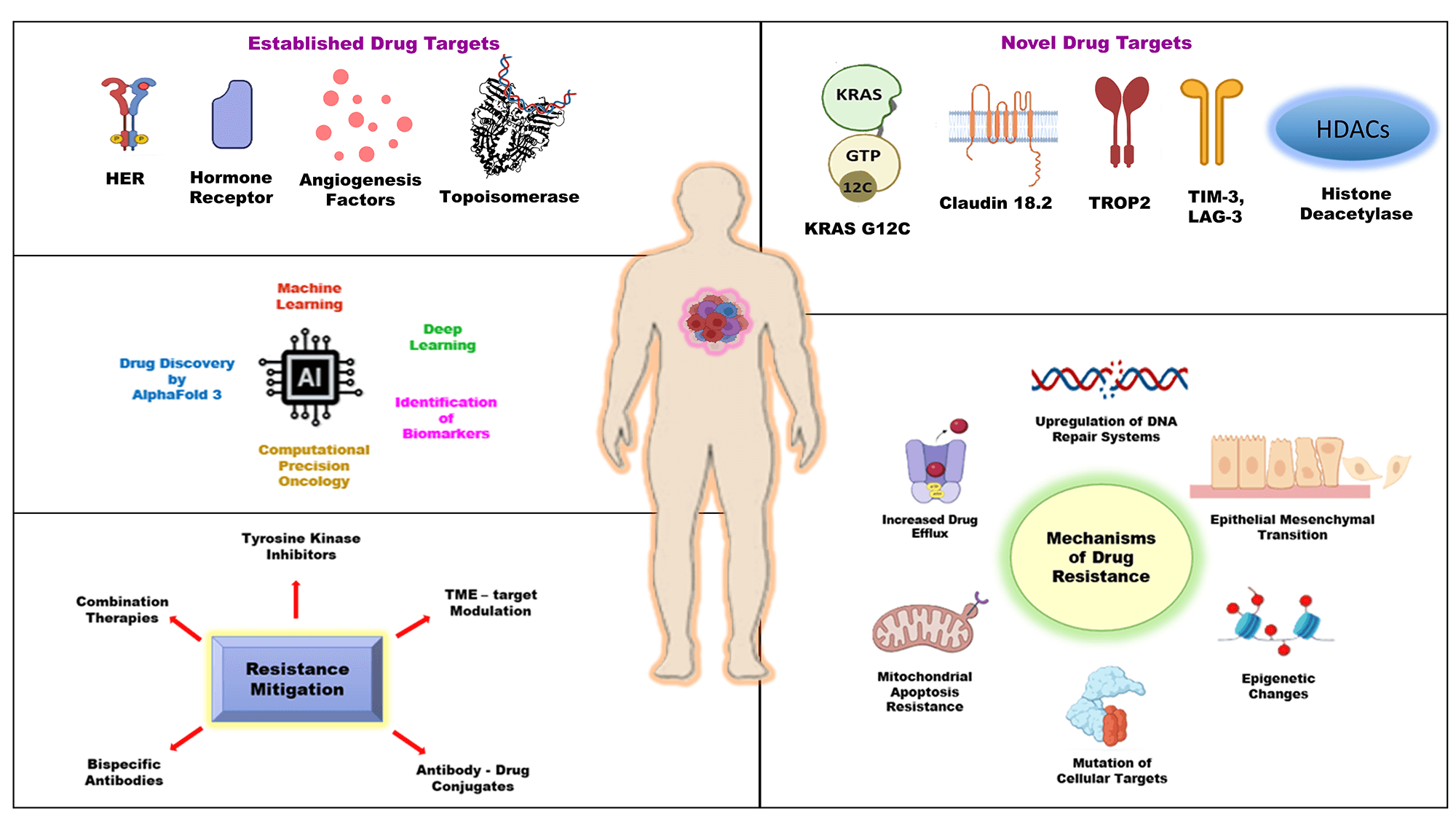 A Holistic Review of Oncological Drug Targets and Trajectories of Resistance in Cancer Therapy