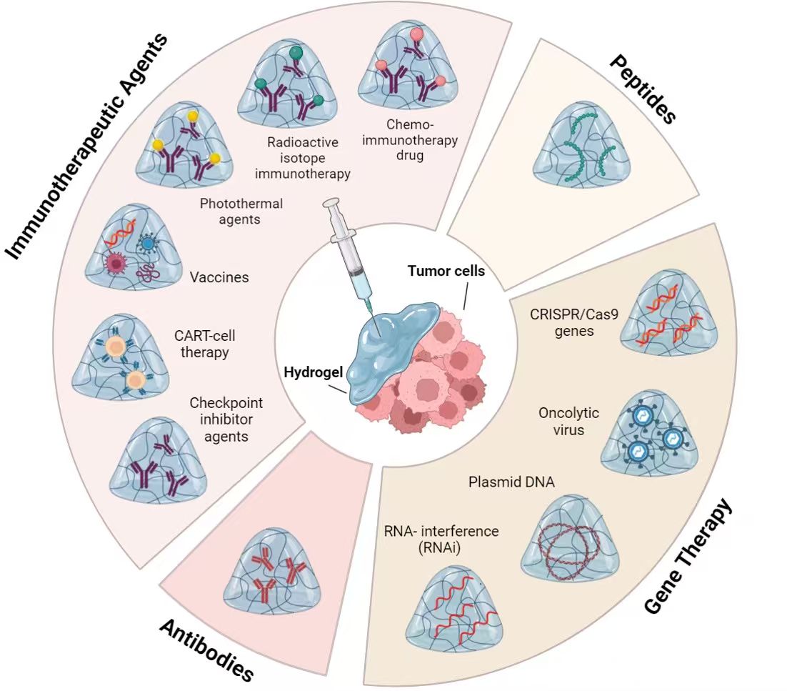 Next-Generation Hydrogel Platforms for Effective Localized Cancer Therapy: Advances in Biologics, Immunotherapeutics, and Gene Delivery