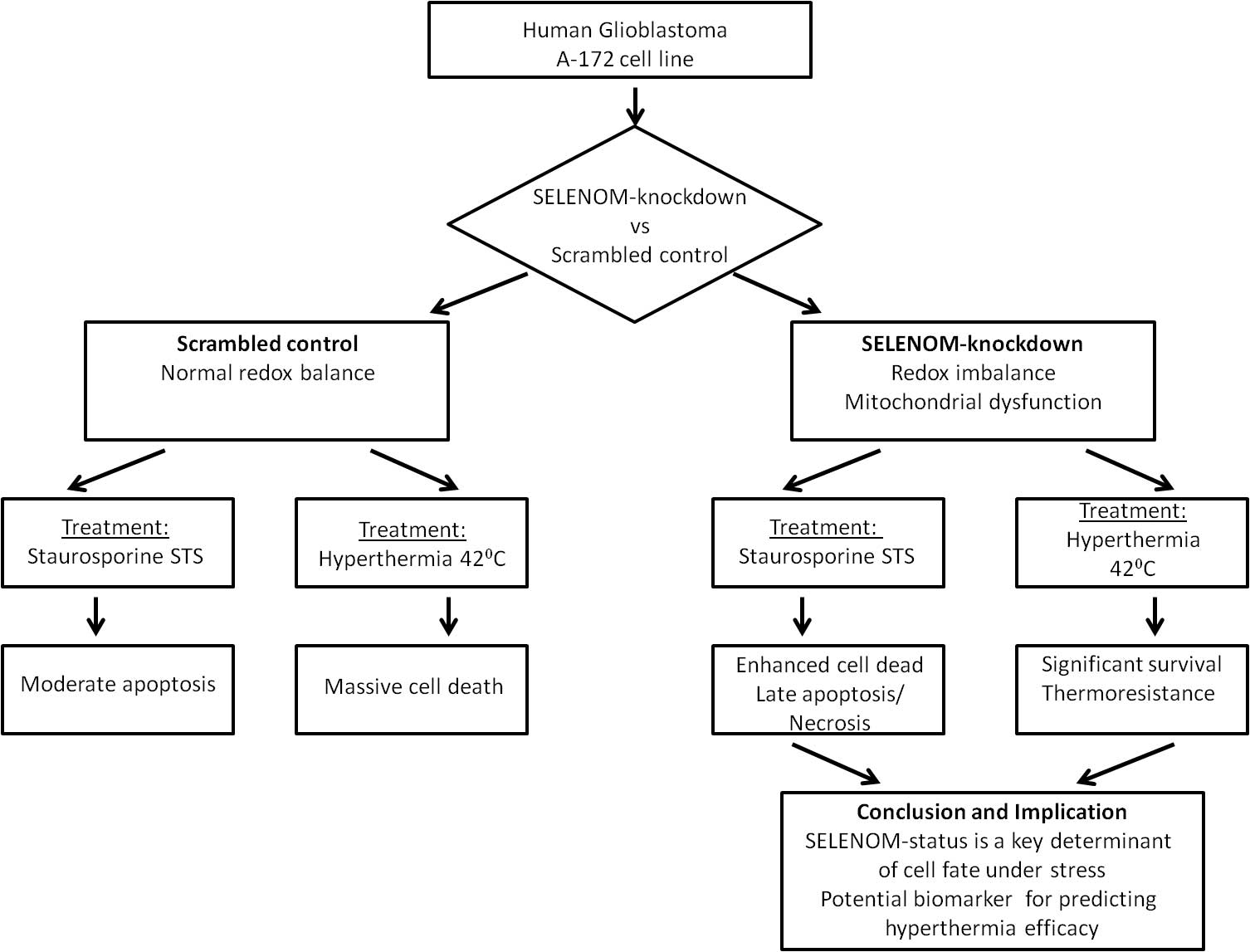 Cellular Knockdown of SELENOM Promotes Apoptosis Induction in Human Glioblastoma (A-172) Cells via Redox Imbalance