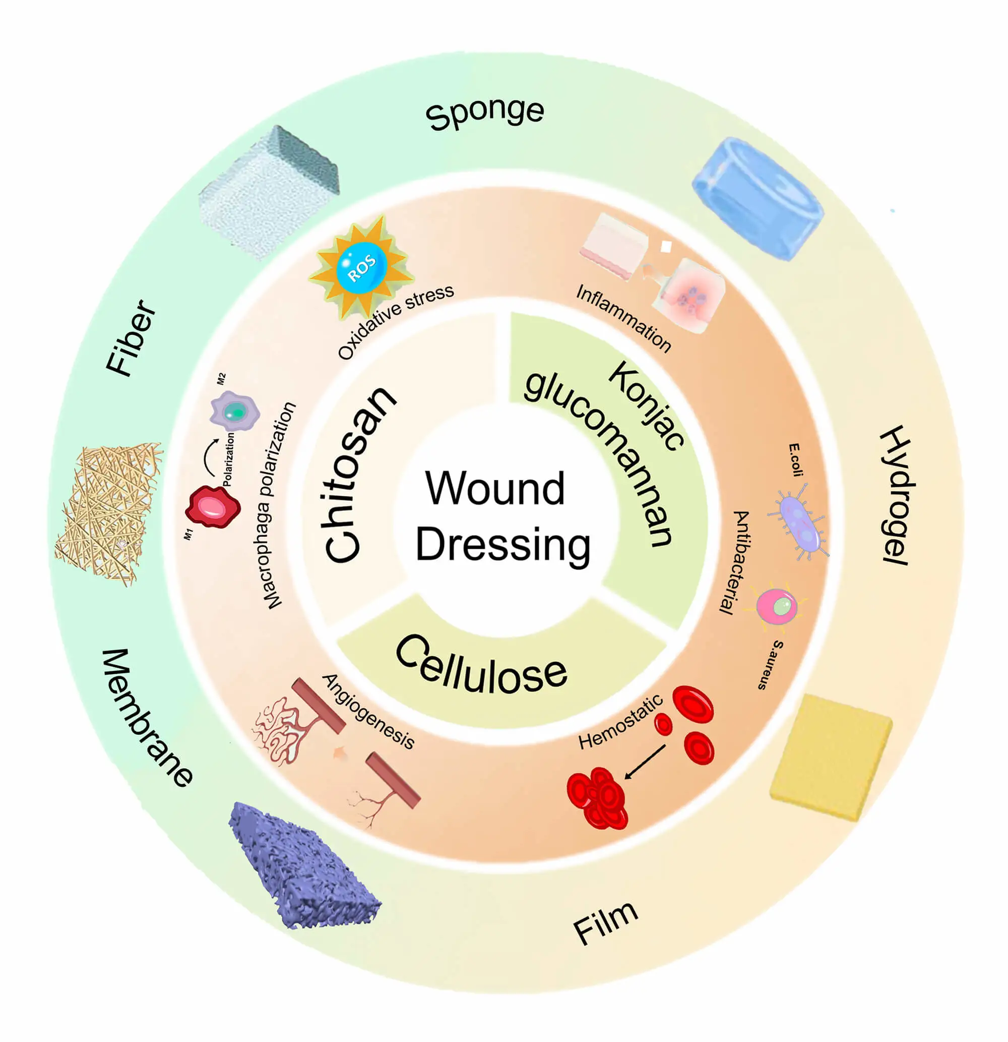 Recent Advances in Natural Polysaccharide-Based Materials for Wound Healing: Chitosan, Konjac Glucomannan and Cellulose