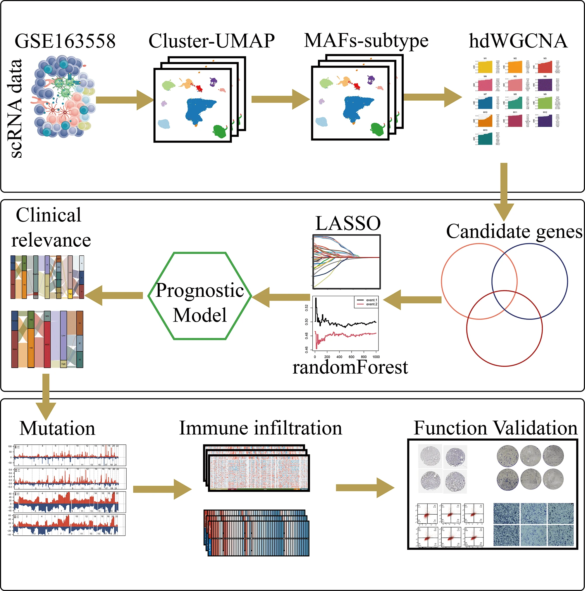 Single-Cell and Multi-Omics-Based Characterization of Gastric Cancer Identifies TPP1 as a Potential Target for Gastric Cancer Progression and Treatment