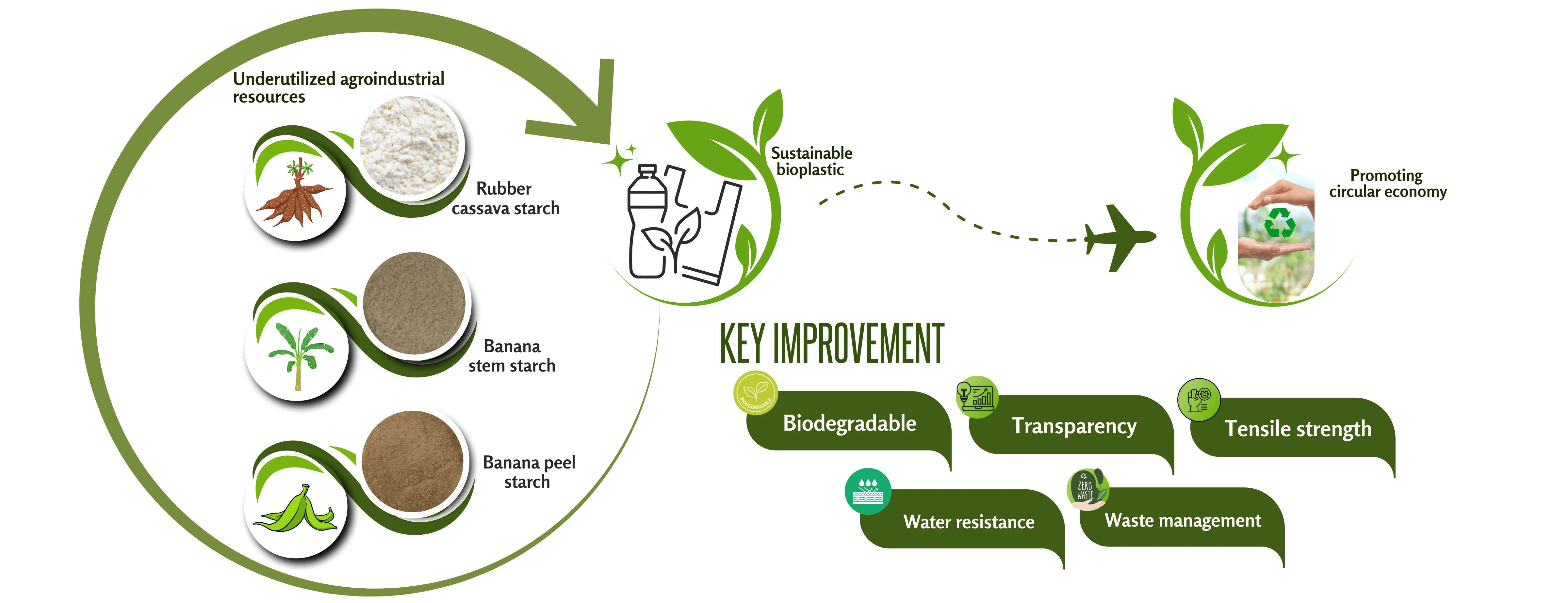 Sustainable Biopolymer Packaging Utilizing Non-Food-Competing Starches Derived from Rubber Cassava and Banana Wastes