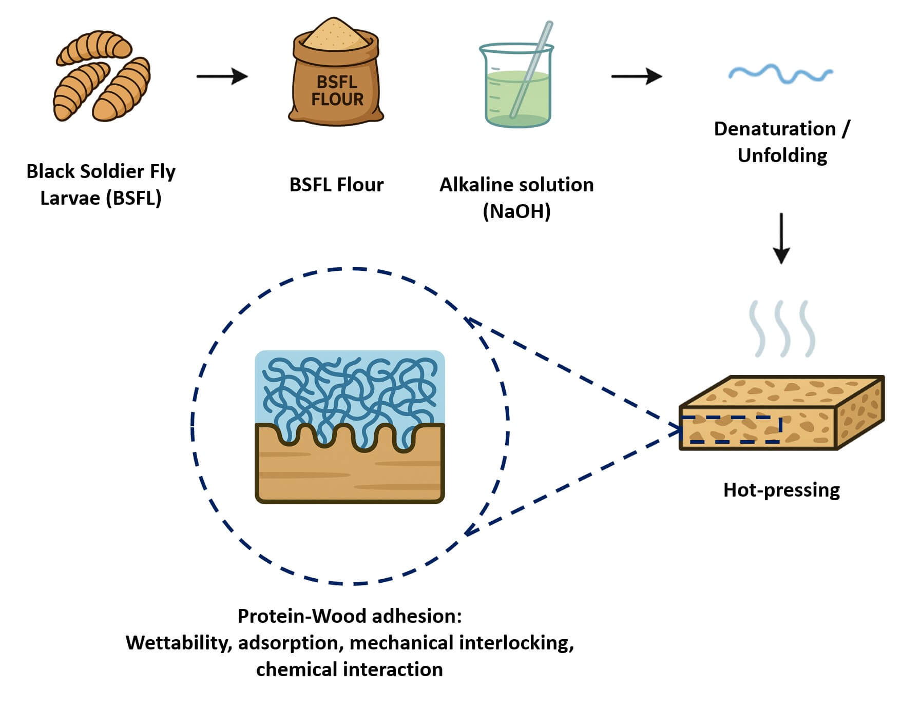 Sustainable Particleboards Based on Sugarcane Bagasse and Bonded with a Waste-Grown Black Soldier Fly Larvae Commercial Flour-Based Adhesive: Rheological, Physical, and Mechanical Properties