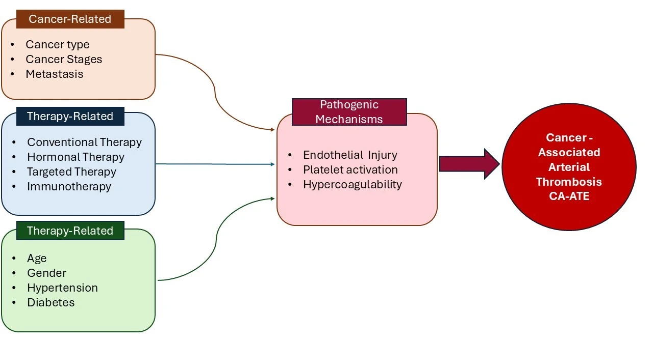 Cancer-Associated Arterial Thrombosis: Mechanisms and Risk Factors