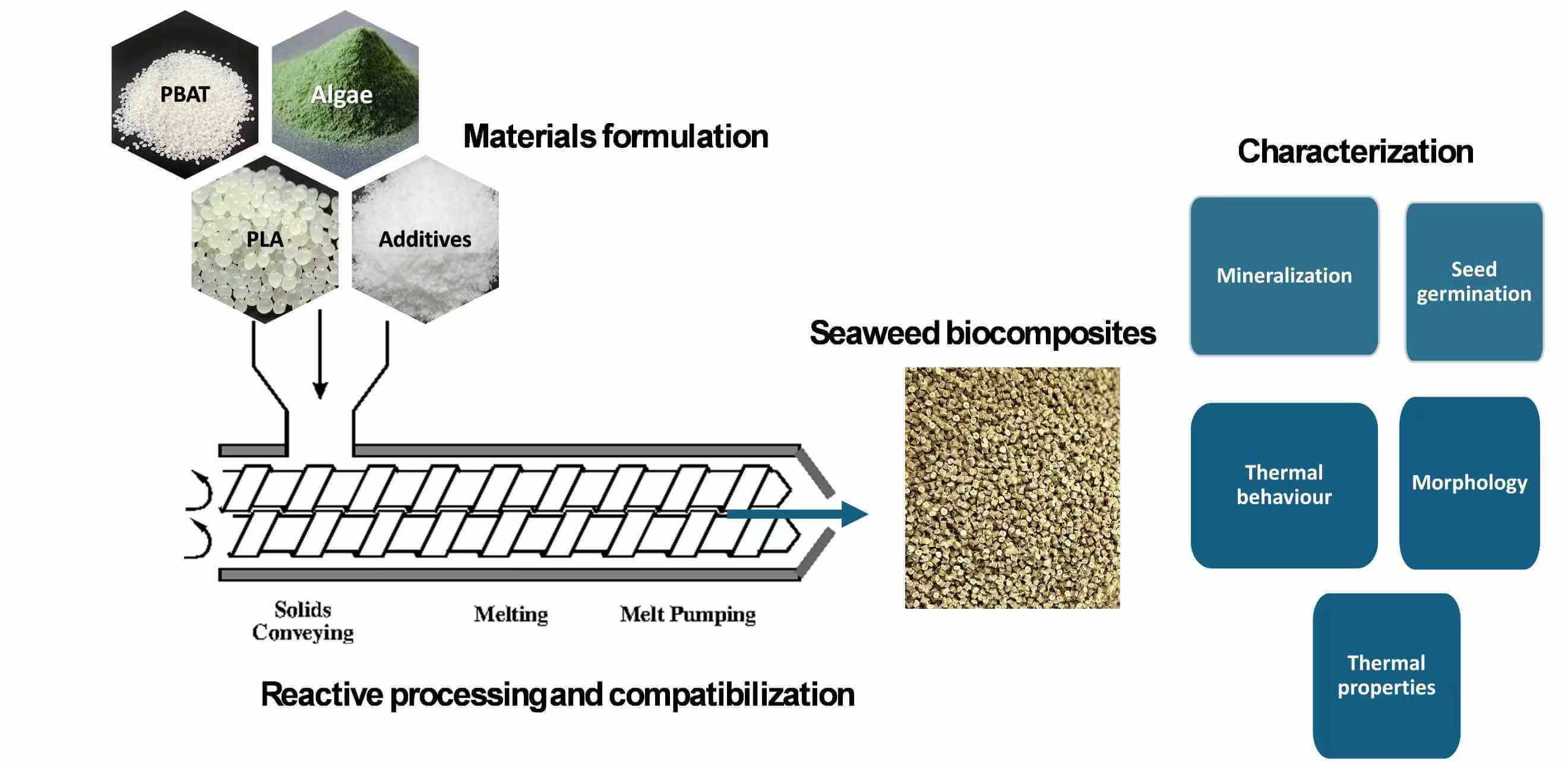Improved Performance and Compost Biodegradation of PLA/PBAT Blend and PLA/PBAT Compatibilized Blends with Algae as a Reinforcer