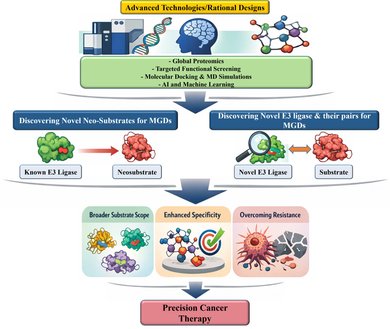Exploring Novel E3 Ligases and Neosubstrates for Molecular Glue Degraders and Therapeutic Applications in Cancer