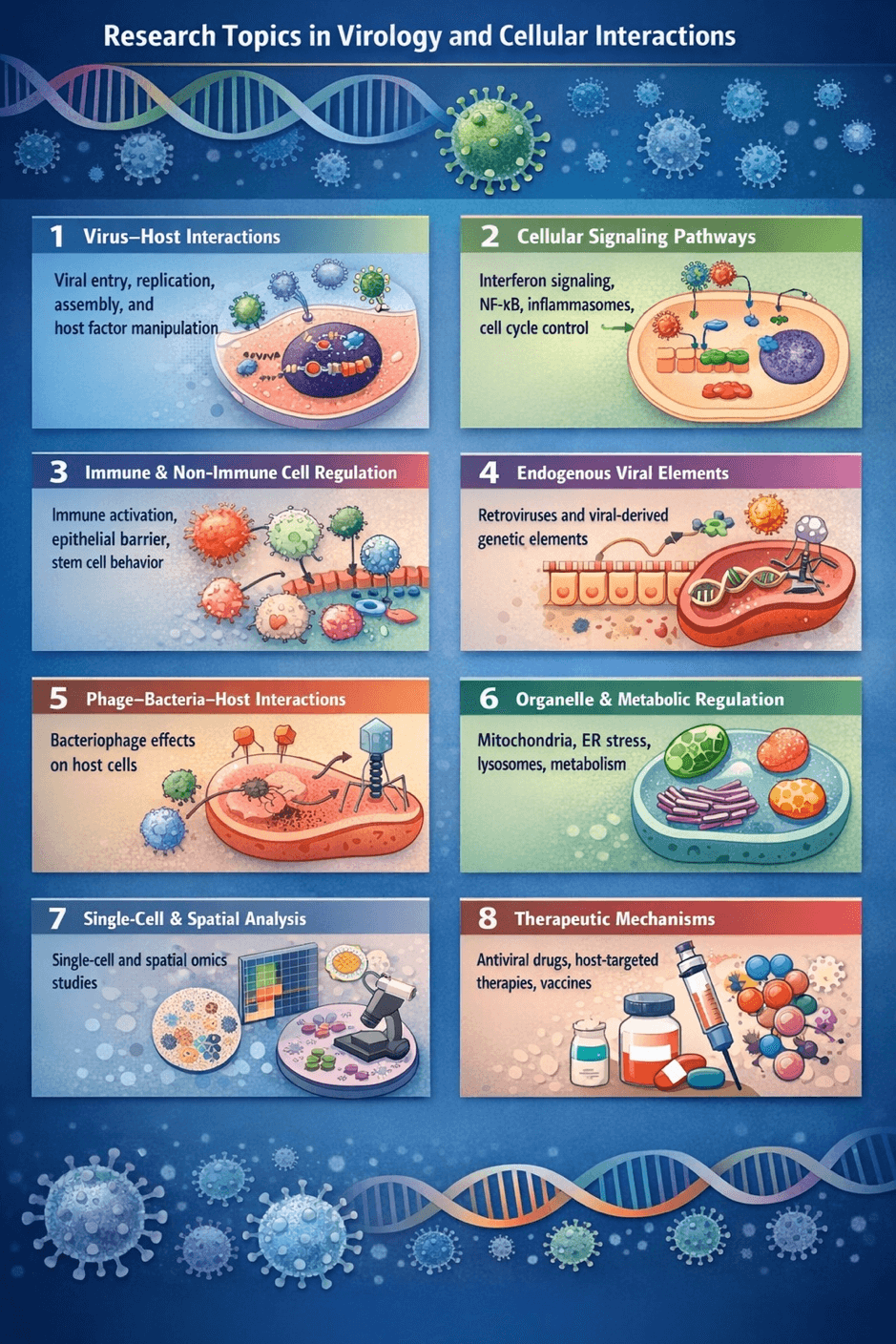 Cellular Mechanisms of the Human Virome in Health and Disease