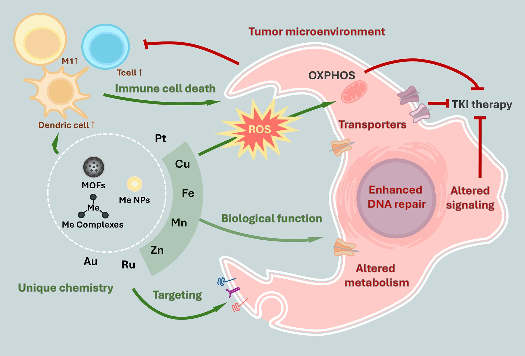 Metal-Based Therapeutic Approaches for Overcoming Cancer Drug Resistance: Mechanisms, Drug Delivery Strategies, and Clinical Perspectives