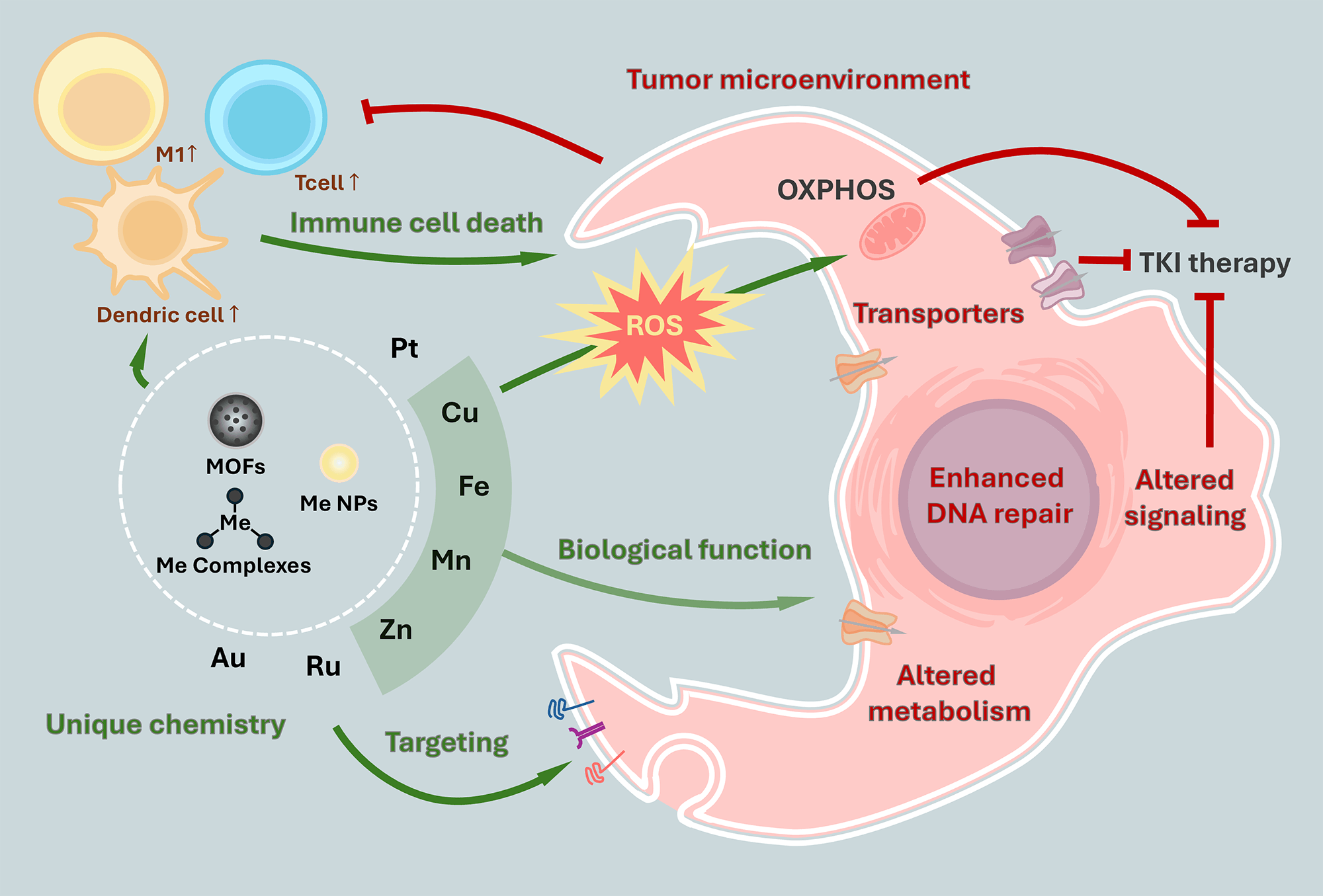 Metal-Based Therapeutic Approaches for Overcoming Cancer Drug Resistance: Mechanisms, Drug Delivery Strategies, and Clinical Perspectives