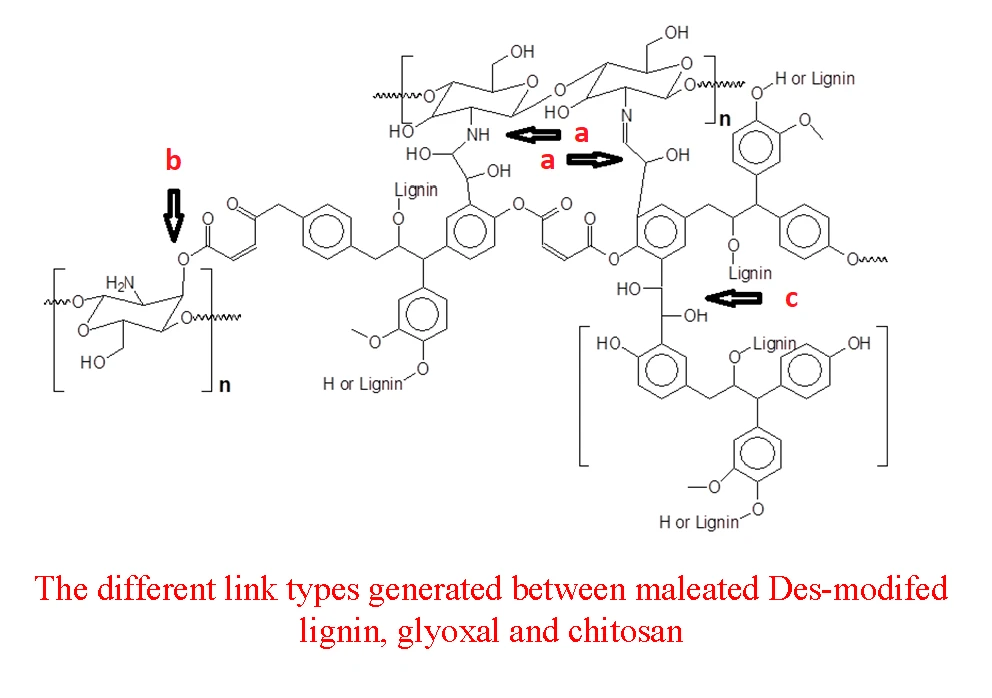 Maleated Deep Eutectic Solvent (DES) Lignin-Glyoxal-Chitosan Wood Adhesives