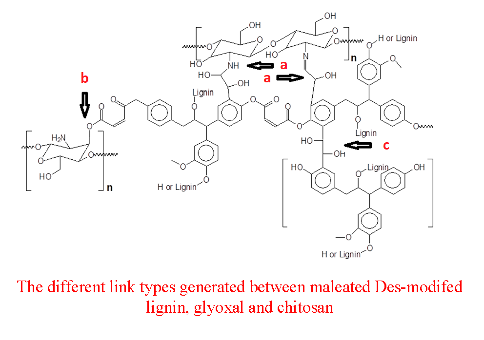 Maleated Deep Eutectic Solvent (DES) Lignin-Glyoxal-Chitosan Wood Adhesives