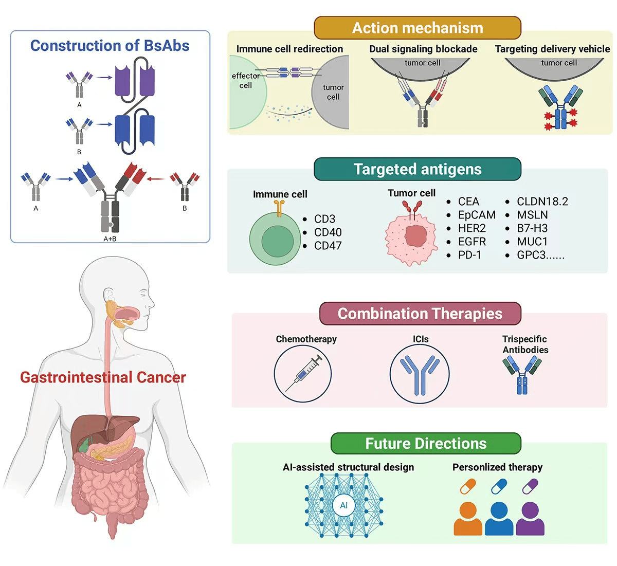 A New Paradigm of Bispecific Antibodies in Clinical Management of Gastrointestinal Cancers
