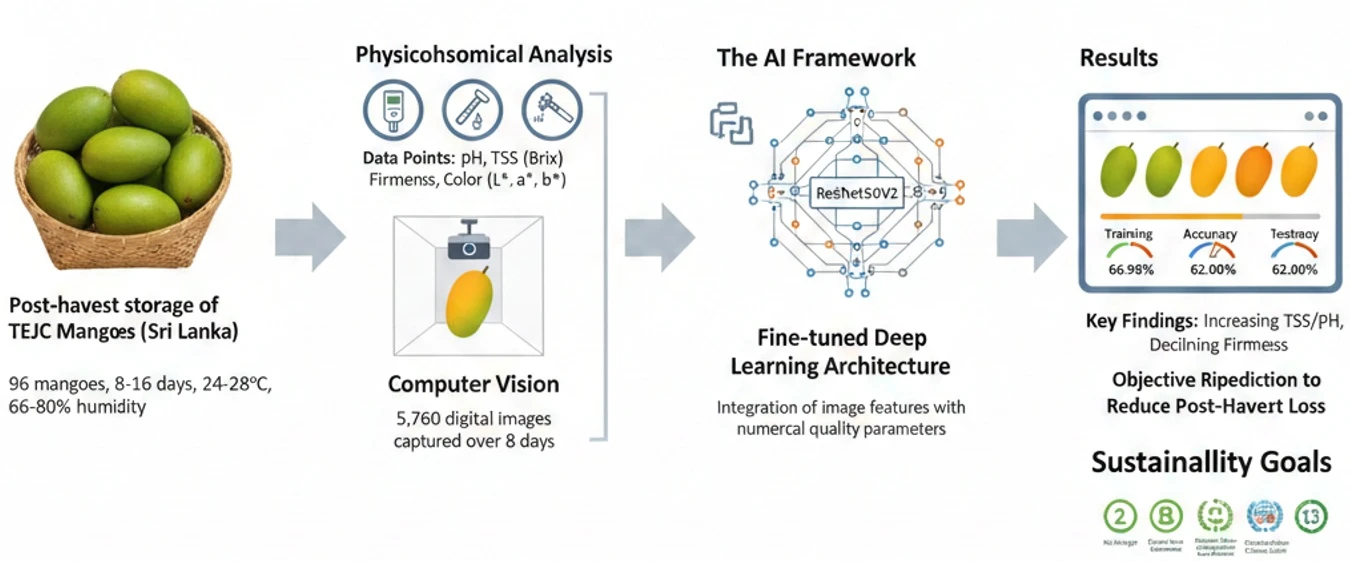 Integration of Computer Vision and Physicochemical Parameters for Post-Harvest Ripeness Classification of TomEJC Mango