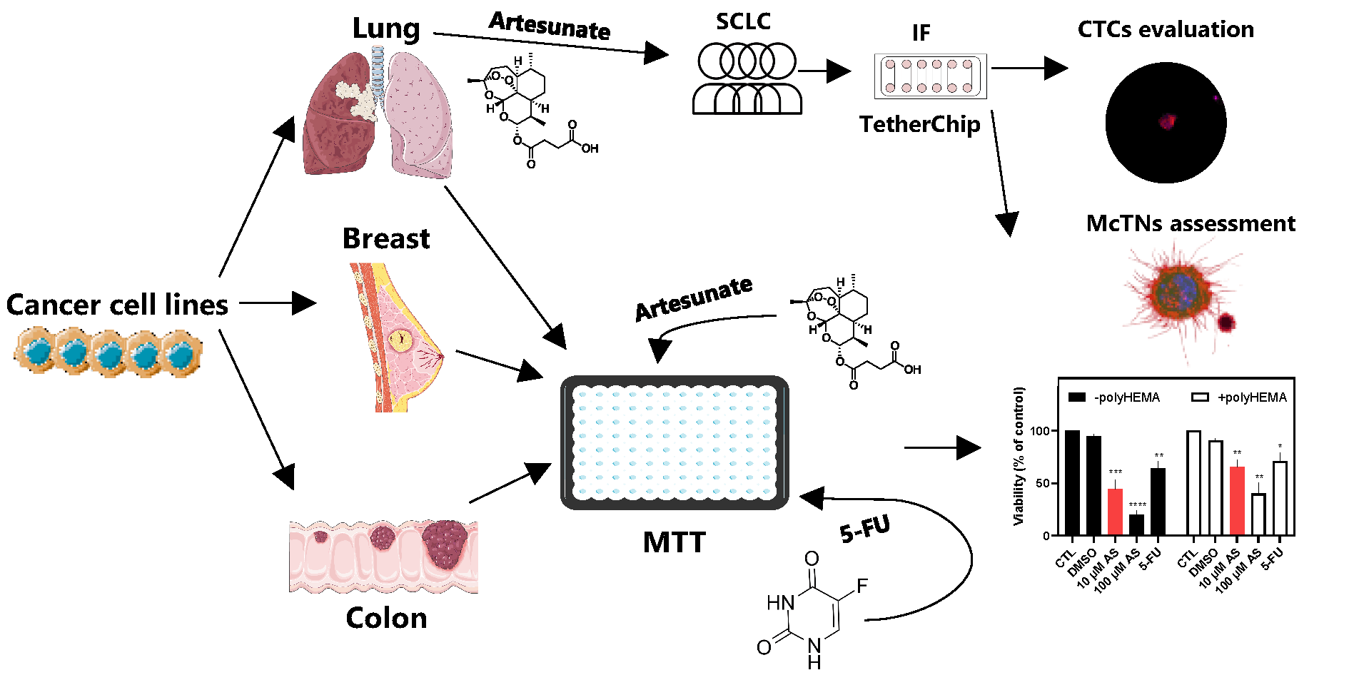 Repurposing Artesunate to Combat Progression and Metastasis via Targeting Circulating Tumor Cells
