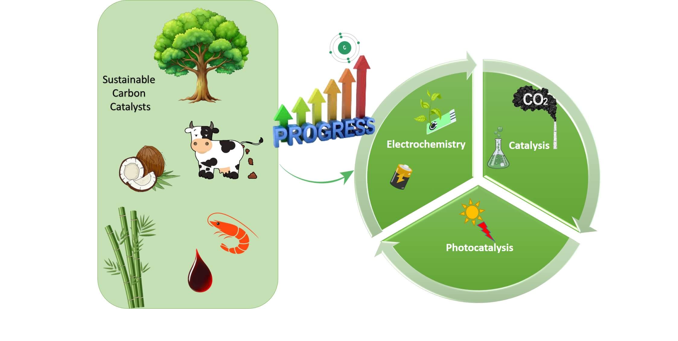 Spotlight on Sustainable Biobased Carbon Catalysts: Recent Progress and Cross-Cutting Opportunities in Catalysis, Photochemistry and Electrochemistry