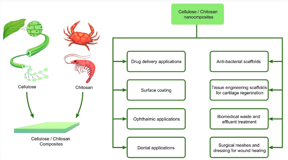 Cellulose-Chitosan Based Bioplastics: Sustainable Production Approaches, Advanced Applications and Emerging Prospects