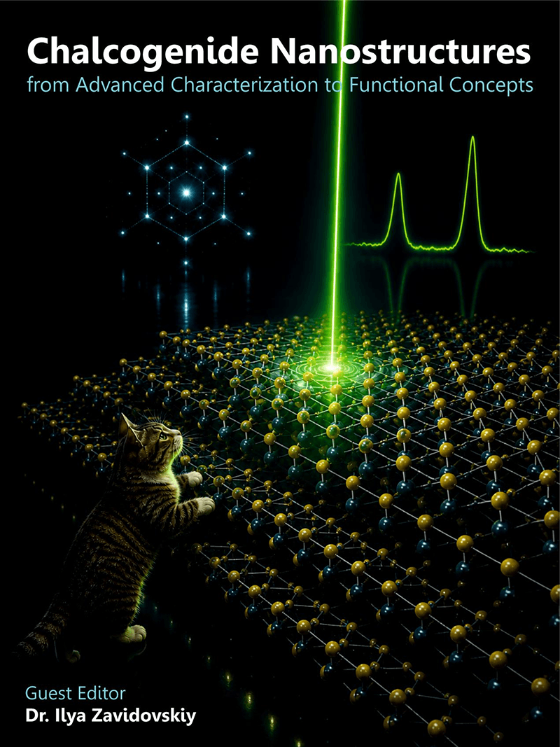 Chalcogenide Nanostructures: from Advanced Characterization to Functional Concepts