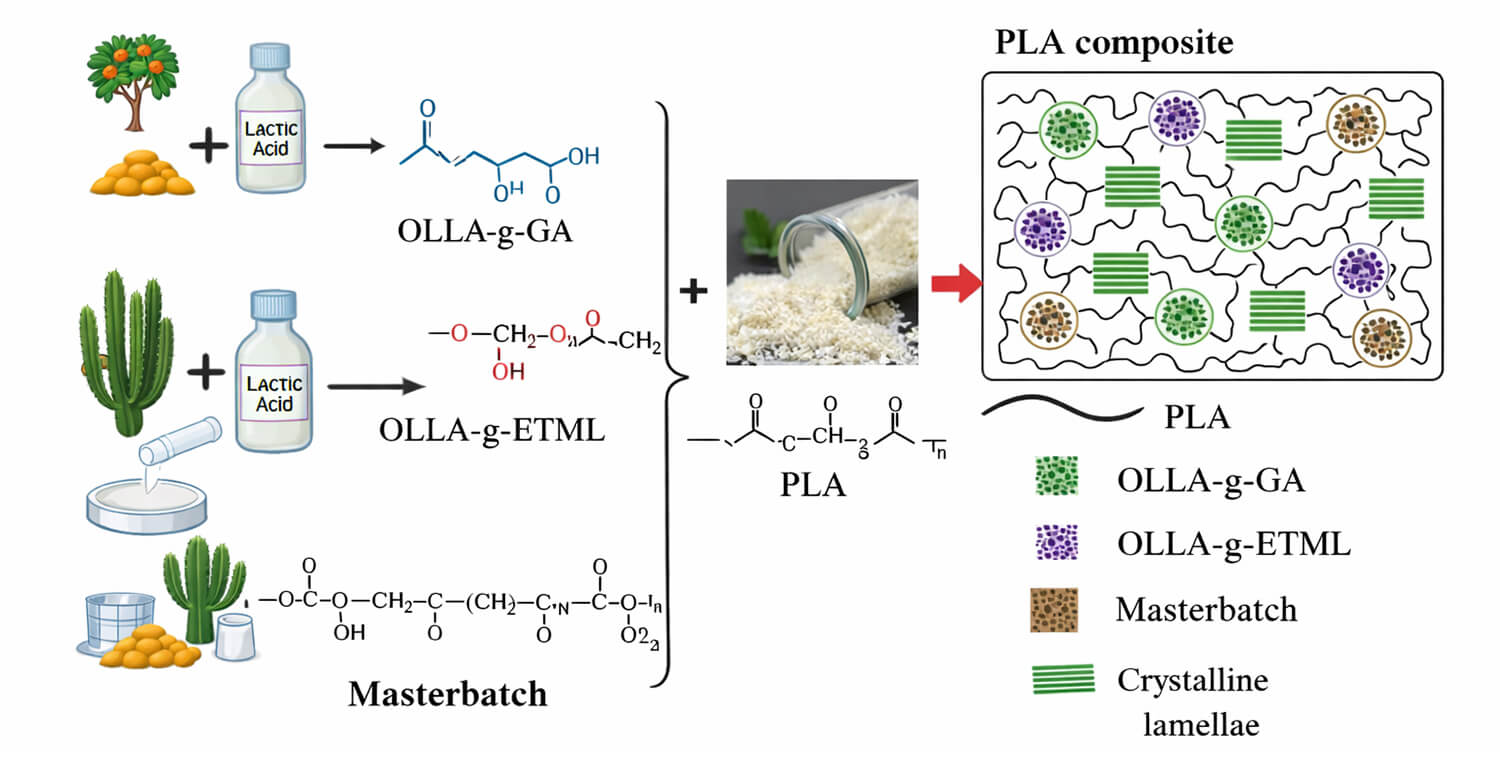 Effect of Modified Gum Arabic and Euphorbia Trigona Mill Master Batch on the Crystallization and Thermal Stability of Poly (Lactic Acid)