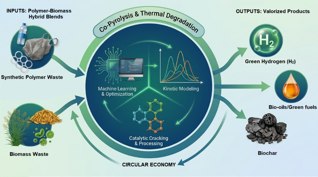 Thermal Degradation, Kinetic Modeling, and Valorization of Polymer-Biomass Hybrid Blends