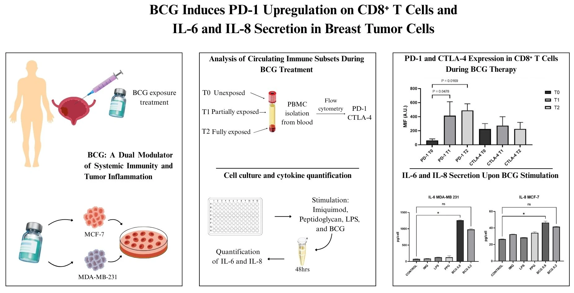 BCG Induces PD-1 Upregulation on Circulating CD8<sup>+</sup> T Cells and IL-6 and IL-8 Secretion <i>In Vitro</i>