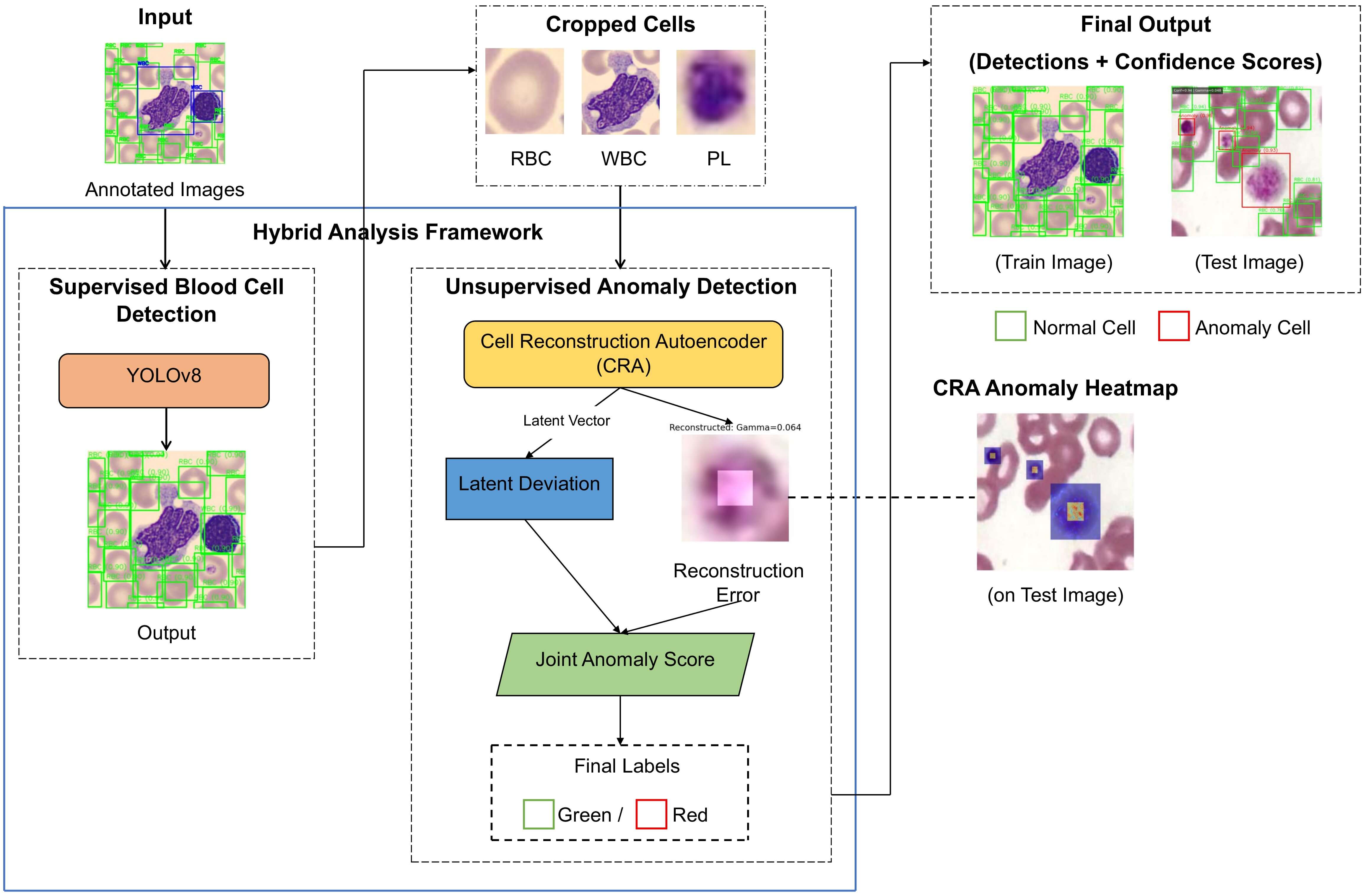 Anomaly-Aware Peripheral Blood Smear Analysis via Hybrid Detection and One-Class Learning