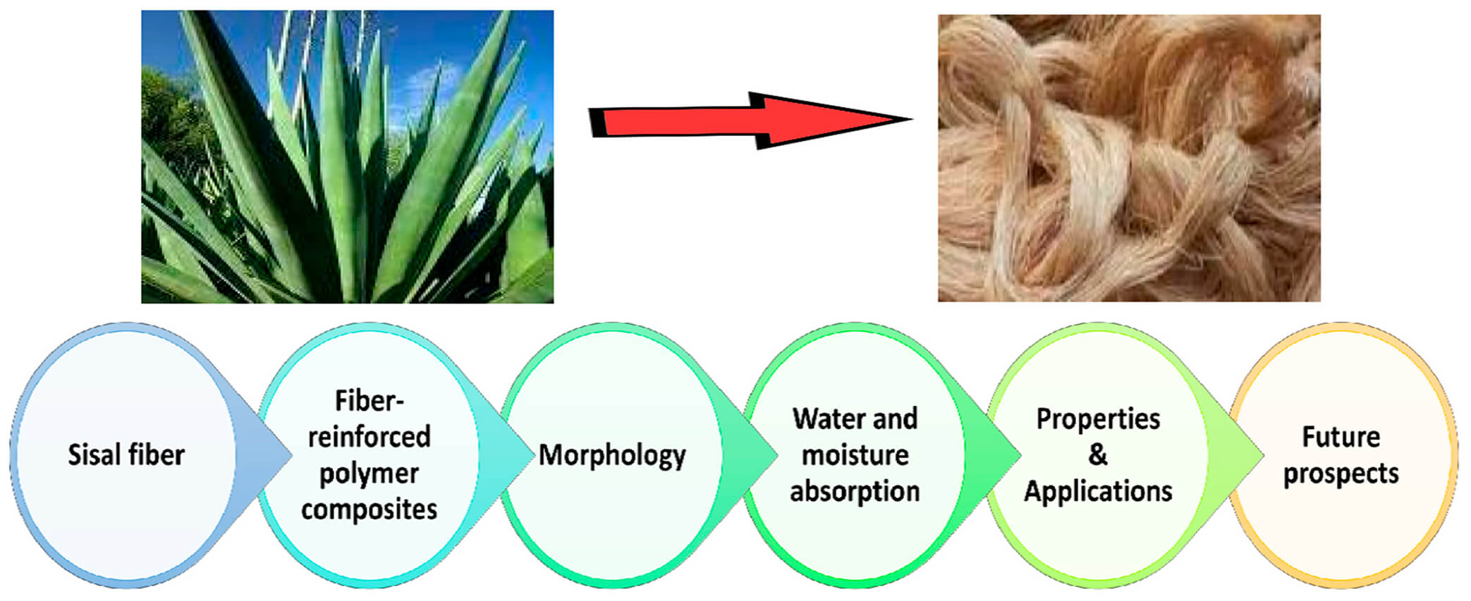 A Systematic Review of Sisal Fiber-Reinforced Polymer Composites: Sustainable Innovations, Industrial Applications, and Future Prospects