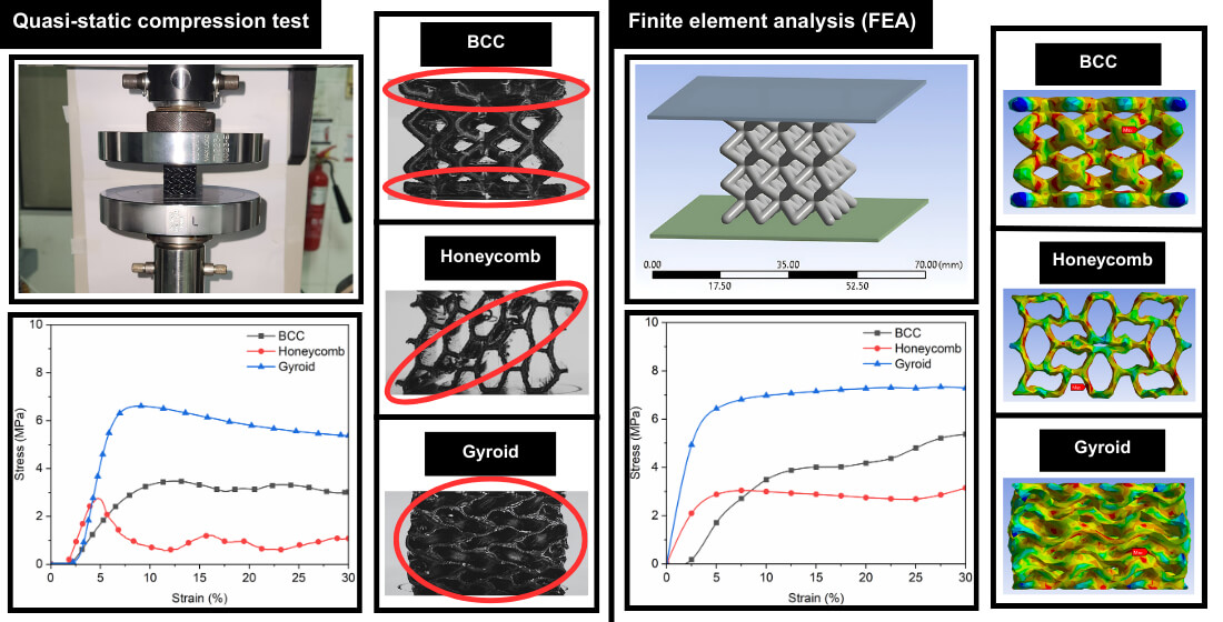 Mechanical Performance and Deformation Mechanisms of Additively Manufactured Lattice Structures under Quasi-Static Compression and Finite Element Analysis