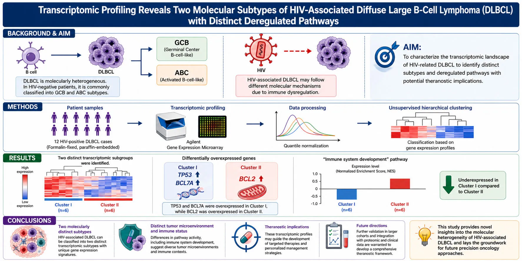 Transcriptomic Study of Diffuse Large B-Cell Lymphoma Associated with HIV Infection: Identification of Novel Molecular Subtypes
