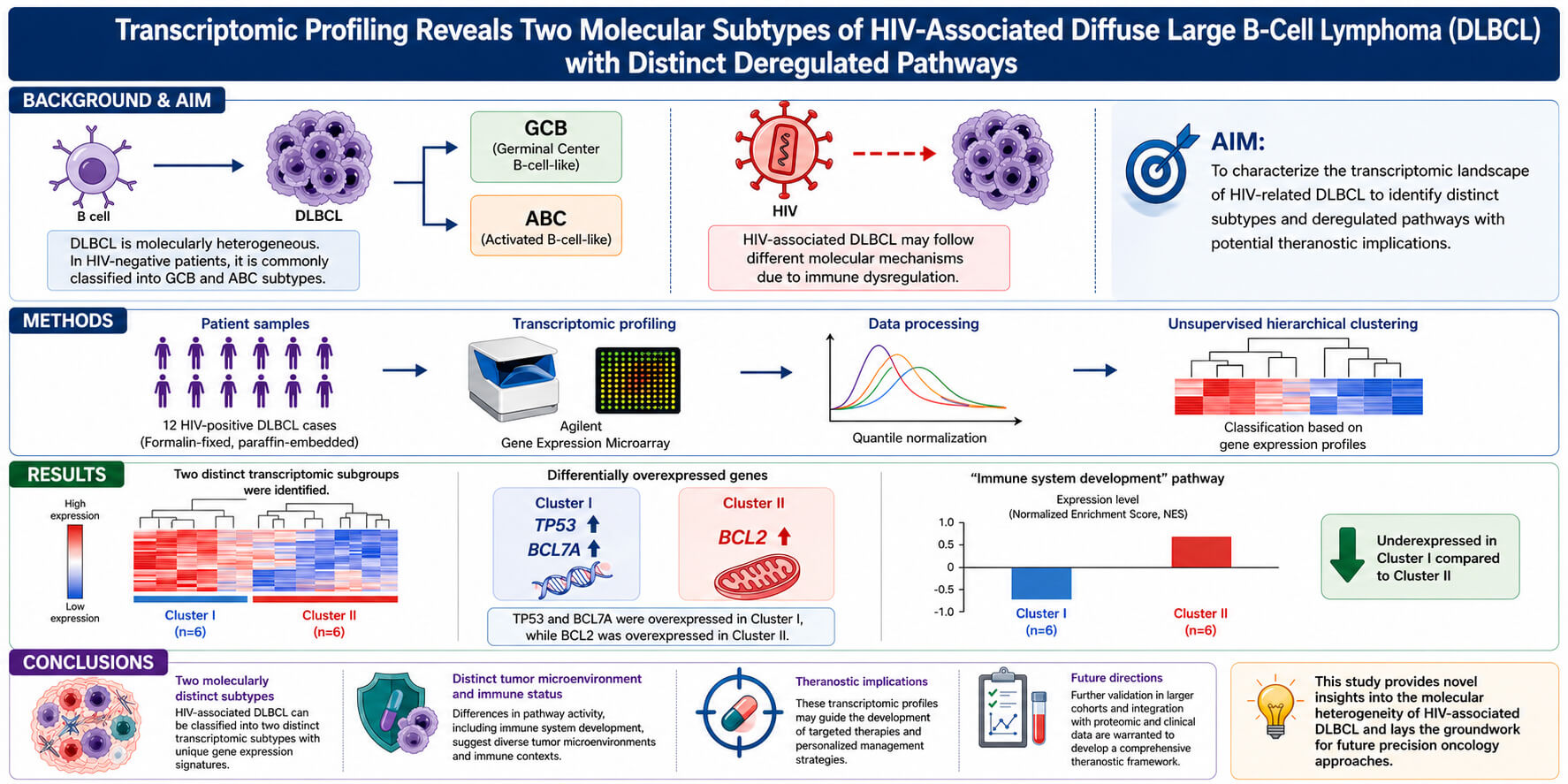 Transcriptomic Study of Diffuse Large B-Cell Lymphoma Associated with HIV Infection: Identification of Novel Molecular Subtypes