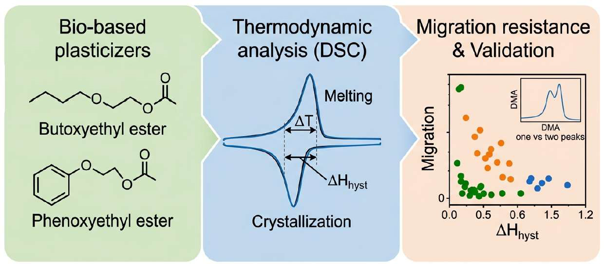 Thermodynamic Approach to Migration Stability of Biosourced Plasticizers via Hysteresis Analysis