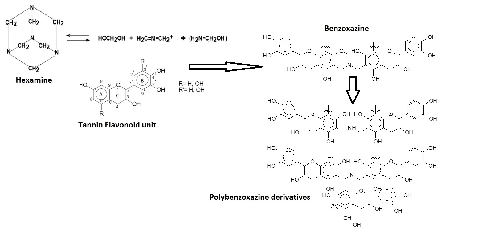 Biobenzoxazines Generated in Hardened Tannin-Hexamine Wood Adhesives