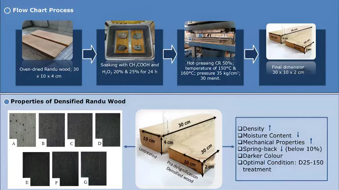 <i>In Situ</i> Peracetic Acid-Driven Oxidative Delignification for Enhancing the Properties of Densified Randu Wood (<i>Ceiba pentandra</i> L. Gaertn.)