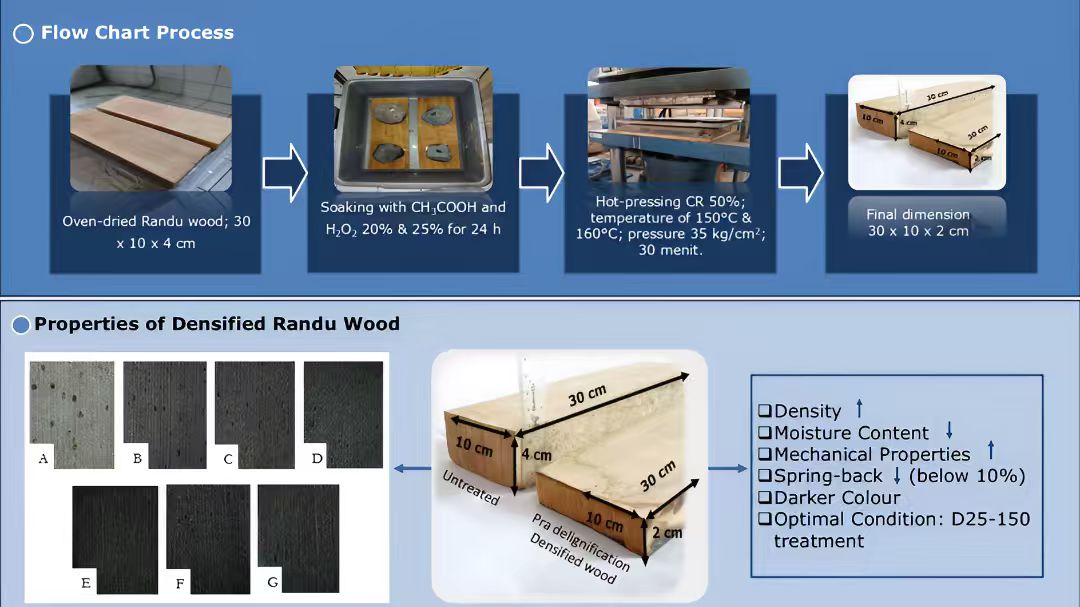 <i>In Situ</i> Peracetic Acid-Driven Oxidative Delignification for Enhancing the Properties of Densified Randu Wood (<i>Ceiba pentandra</i> L. Gaertn.)