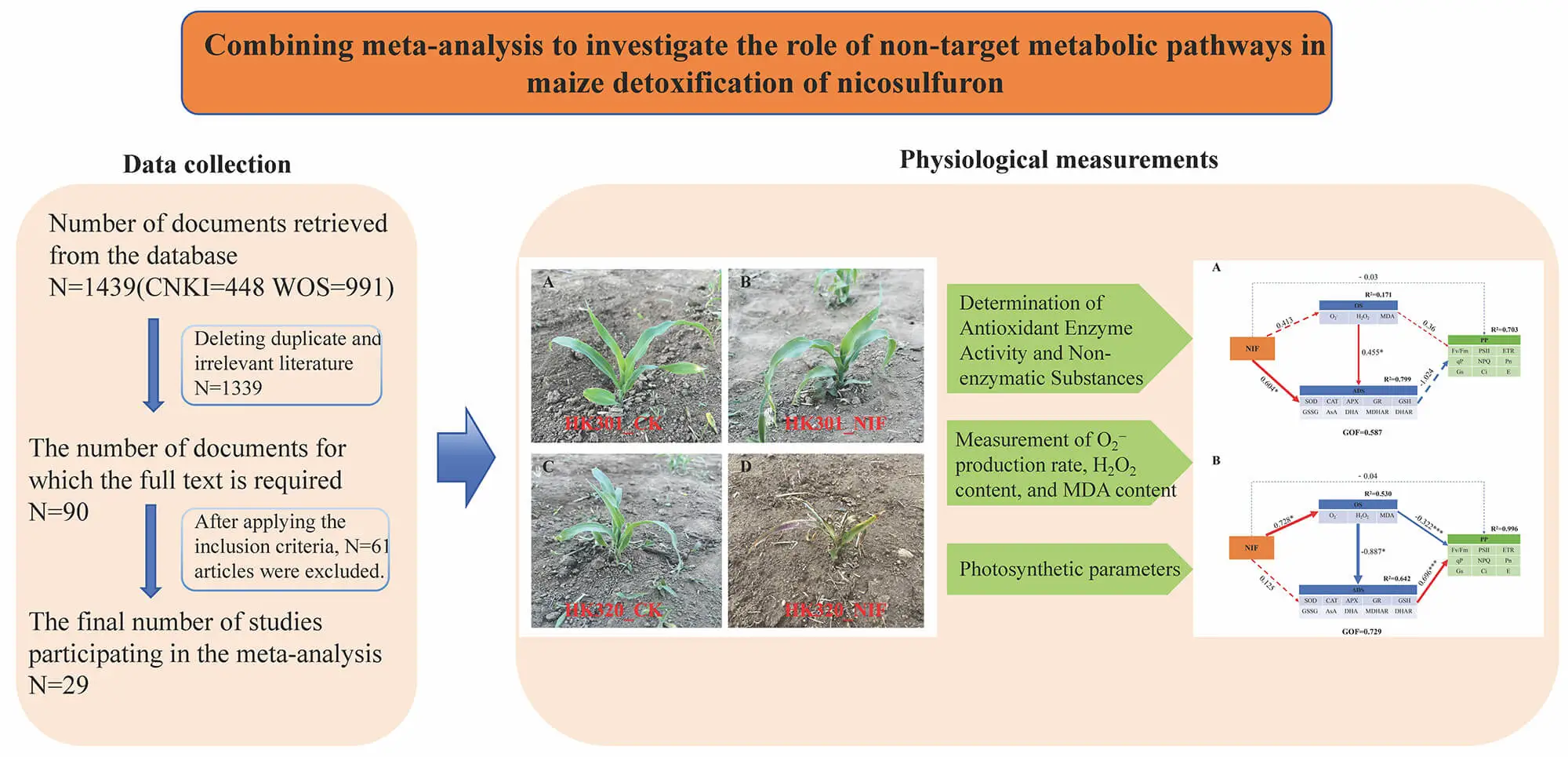 Combining Meta-Analysis to Investigate the Role of Non-Target Metabolic Pathways in Maize Detoxification of Nicosulfuron