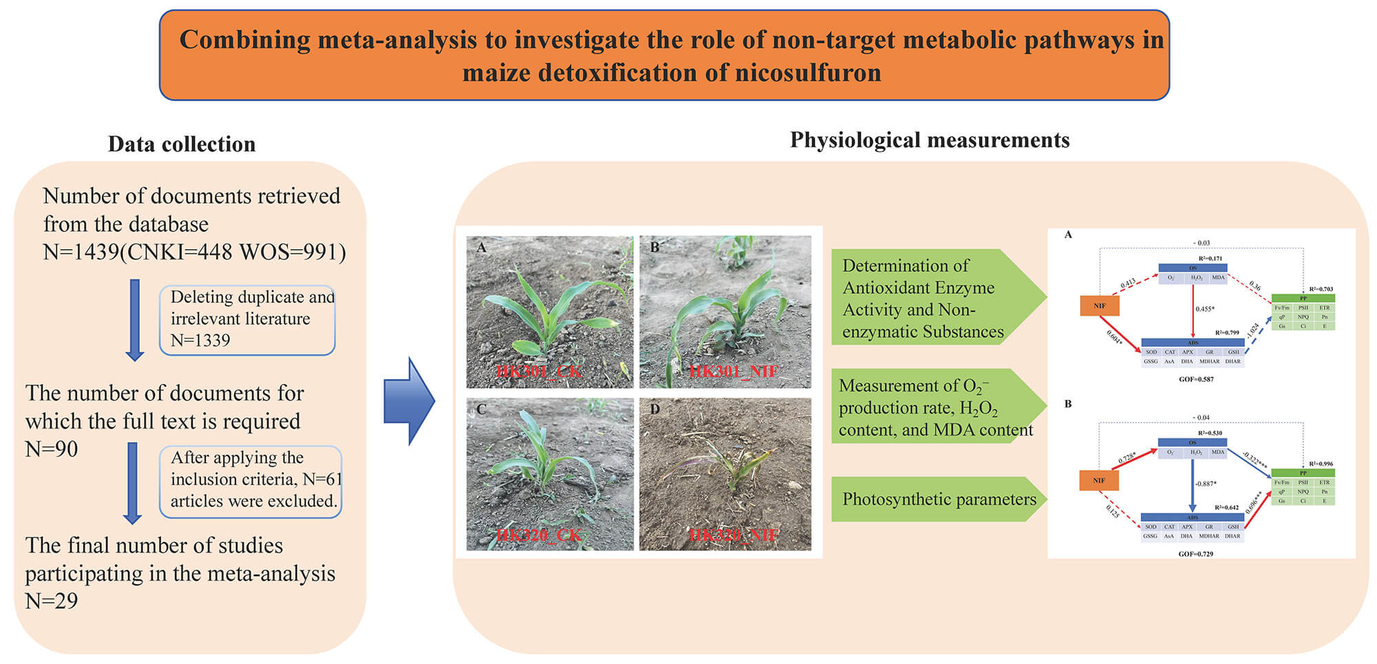 Combining Meta-Analysis to Investigate the Role of Non-Target Metabolic Pathways in Maize Detoxification of Nicosulfuron