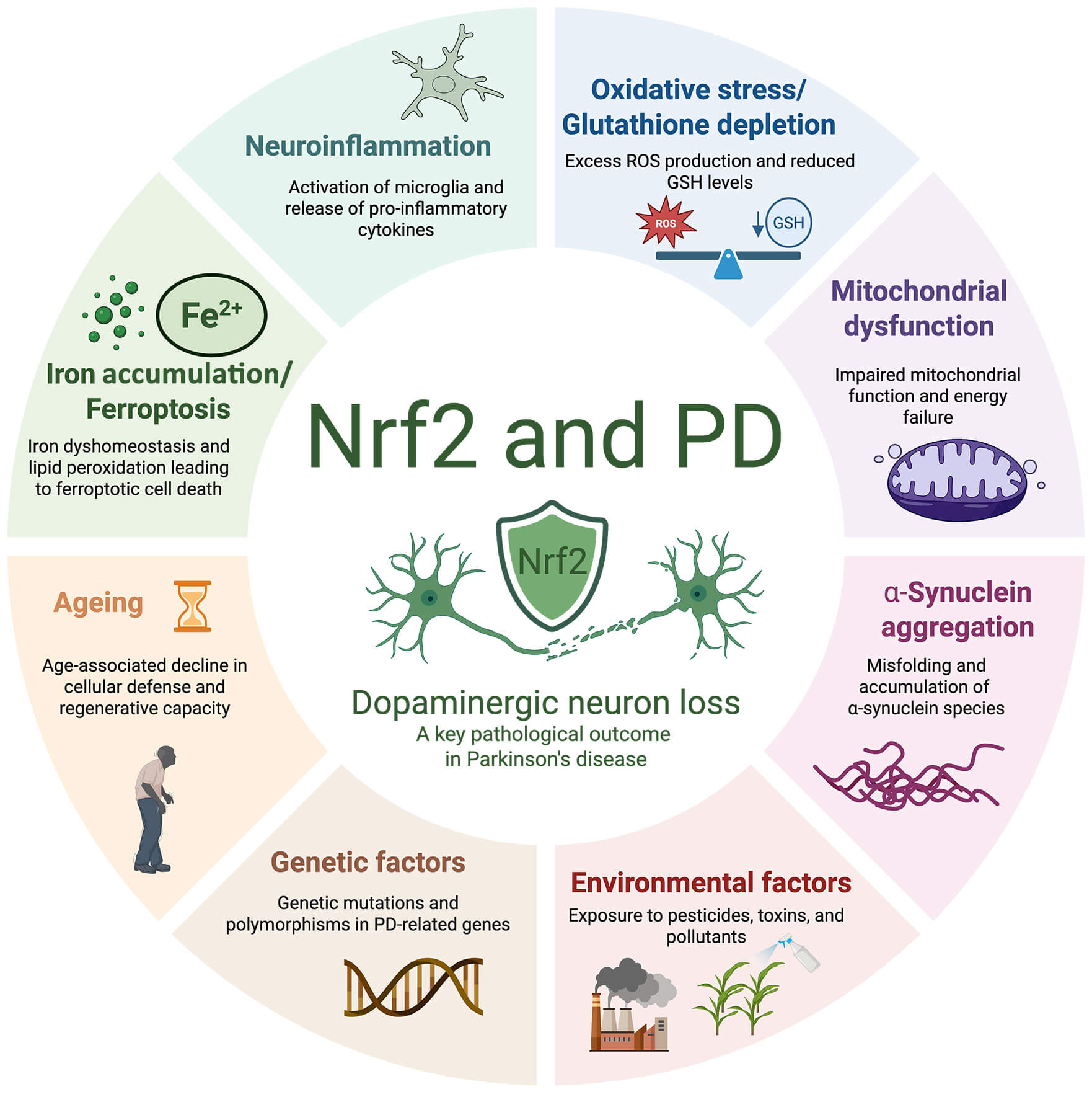 Natural Products as Nrf2 Modulators for Treatment of Parkinson’s Disease