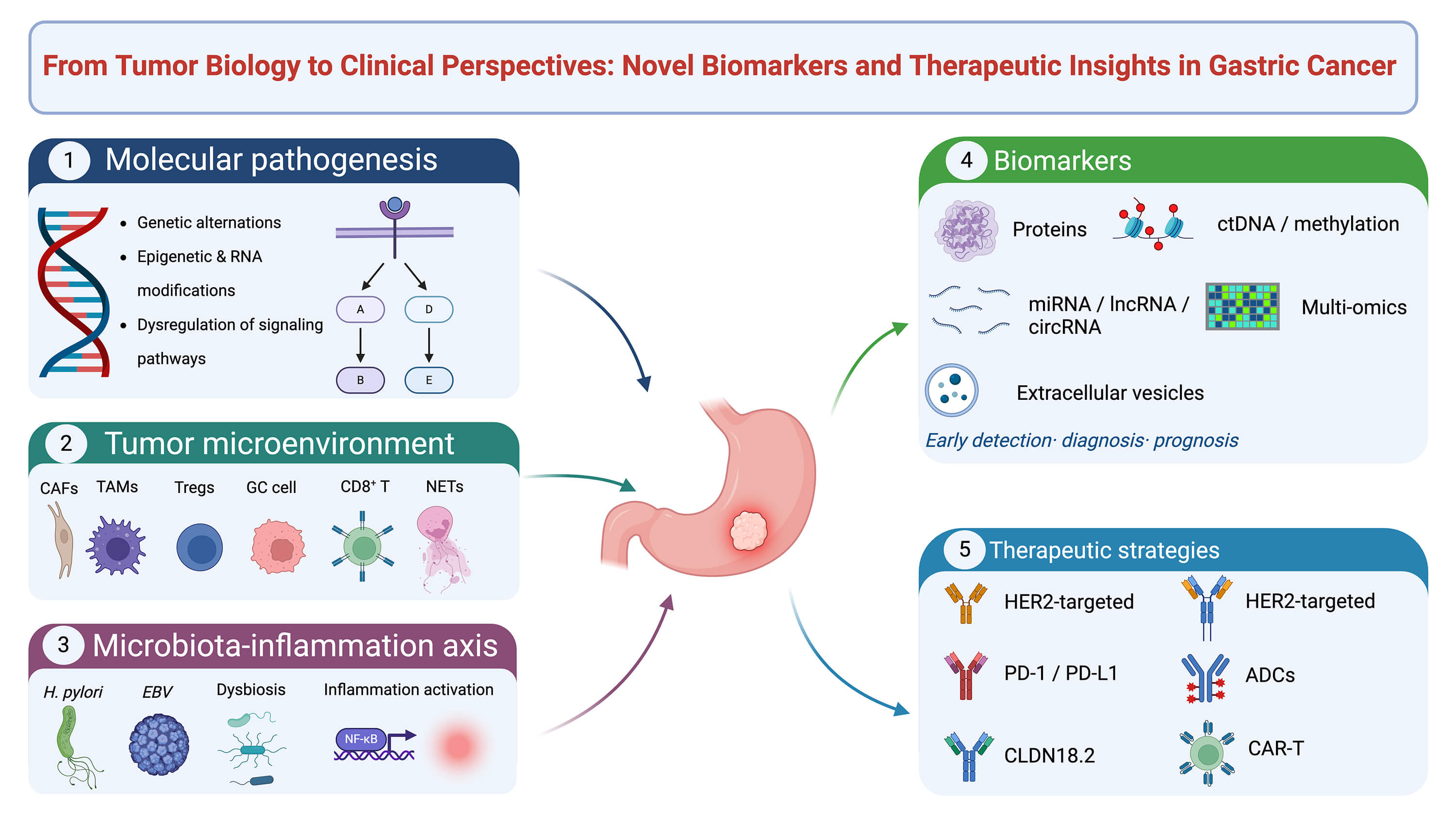 From Tumor Biology to Clinical Perspectives: Novel Biomarkers and Therapeutic Insights in Gastric Cancer